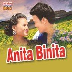 Anita Binita - Sher Singh Meher Song Download